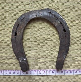 North European Medieval Iron Horseshoe photo