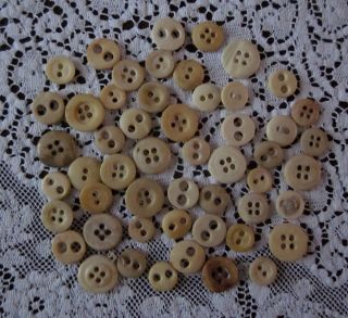 50 Vintage Antique Bone Buttons Bovine Sewing Tools Civil War Era 2 And 4 Hole photo