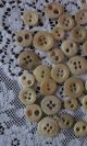 50 Vintage Antique Bone Buttons Bovine Sewing Tools Civil War Era 2 And 4 Hole Buttons photo 1