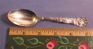 Antique Squirrel Island Maine Me Sterling Silver Souvenir Spoon 1890s - 1920s photo