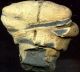 Pre - Columbian Michoacan Mexico Clay Figure Head,  Ca; 500 - 300 Bc The Americas photo 3
