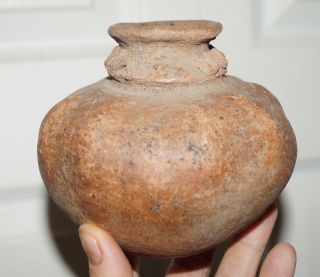 Pre - Columbian Panama Pumpkin Jar Gourd Effigy Pot With Snakes Around Rim photo