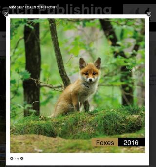 Fox Calendar 2016 - Photograhic Images photo
