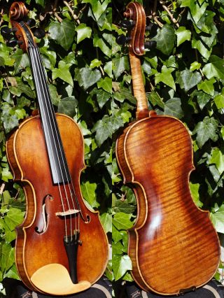 Fine Vintage Czech Violin - A.  Galla,  Kosice.  Outstanding Tone photo