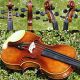 Fine Vintage Czech Violin - A.  Galla,  Kosice.  Outstanding Tone String photo 7