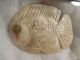 Moche Shell Pendants Display Pre - Columbian Archaic Ancient Artifacts Chimu Mayan The Americas photo 5