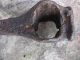 Metal Detecting Find Viking Iron Axe Head Found In The City Of London 1982 British photo 4