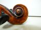 Domenico Busan Venice Label/copy Late 18th C/19th C Full Size 4/4 Antique Violin String photo 6