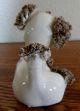 Vintage Comical Spaghetti Poodle Dog Figurine 1950 ' S With A Bug On His Face Figurines photo 2