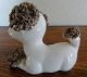 Vintage Comical Spaghetti Poodle Dog Figurine 1950 ' S With A Bug On His Face Figurines photo 3