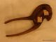 Antique Parrot Shaped Betal Nut Cracker From India India photo 2