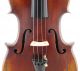 Infrequent Antique Italian - Giuseppe Tarasconi Labeled 4/4 Old Master Violin String photo 3