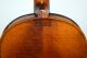 Fine German Handmade 4/4 Violin Brandmarkedl Stainer - Around 100 Years Old String photo 5