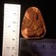 Thai Amulets Buddha Phra Pidta Close Eyes Wat Bowon Protect Lucky A122 Amulets photo 4