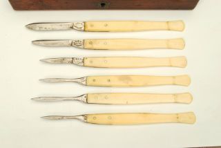 Case Of Medical Instruments photo