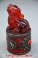 Rare Chinese Amber Handmade Statue - - Beast. Other Antique Chinese Statues photo 2