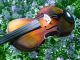 Vintage Stainer Violin Model Labeled Stainer 1695 Full Size 4/4 String photo 5