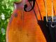 Vintage Stainer Violin Model Labeled Stainer 1695 Full Size 4/4 String photo 8