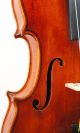 Antique Markneukirchen Violin / Heinrich Heberlein Jr.  1923 - String photo 7