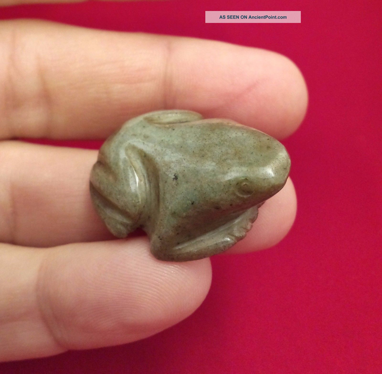 Carved Jade Frog Pendant Green Stone Antique Pre Columbian Artifact Costa Rica The Americas photo