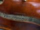 A Old Violin Leandro Bisiach 1903 String photo 2