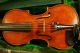A Old Violin Leandro Bisiach 1903 String photo 3