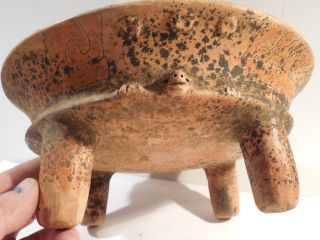 Huge Nicoya Toad Rattle Leg Bowl Pre - Columbian Archaic Ancient Artifact Mayan Nr photo