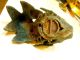 Vintage Cast Iron Koi Fish Goldfish Garden Hanging Candle Holder Lantern. Metalware photo 3