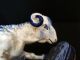 Antique Sarreguemines French Faience Majolica Blue Ram Sheep - Lovely Glaze Skips Figurines photo 3