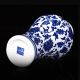 Chinese Hand - Painted Flowers Porcelain Vase W Qing Dynasty Qianlong Mark Vases photo 3