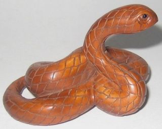 Delicate Boxwood Netsuke: Sitting Snake photo