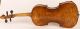 100 Years Old Italian 4/4 Violin By S.  Scarampella Geige Violon ヴァイオリン String photo 2