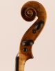 100 Years Old Italian 4/4 Violin By S.  Scarampella Geige Violon ヴァイオリン String photo 3