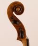 100 Years Old Italian 4/4 Violin By S.  Scarampella Geige Violon ヴァイオリン String photo 7