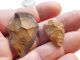 Tlahuica Arrowheads Aztec Pre - Columbian Archaic Ancient Artifacts Olmec Mayan Nr The Americas photo 5