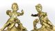 Pair Continental Gilt Bronze Chenets C1900 Young Boy & Girl Play W/ Puppies Cat Fireplaces & Mantels photo 1