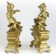 Pair Continental Gilt Bronze Chenets C1900 Young Boy & Girl Play W/ Puppies Cat Fireplaces & Mantels photo 3