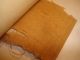 Ancient Egyptian Mummy Cloth Attached To Paper W/note.  From World Tour 1930 ' S Egyptian photo 4