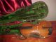 Antique Italian Carlo Tononi Violin W/original Label A Restorers Dream As/is String photo 1