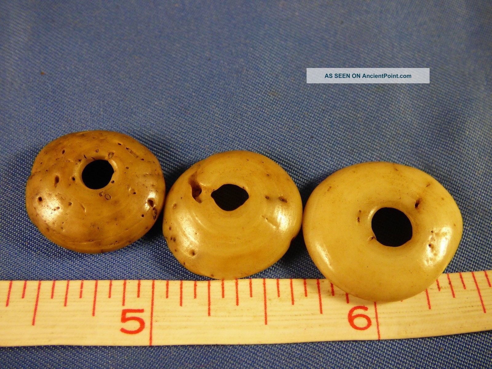 3 Old Shell Beads Pendants Good Patina Tennessee River Find Native American photo