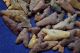 110 Common Algeria Found Tidikelt Projectile Points/tools (many With Tip Break) Neolithic & Paleolithic photo 3