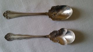 Two Antique Silverplate Sugar Spoons Puritan & Rose,  Rockford & Rogers 1900 - 1940 photo