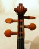 Antique Italian Labelled Violin Giuseppe Guadagnini Parmae 1803 Baroque Neck String photo 5