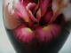 Japanese Red Iris Cloisonne Vase Vases photo 4