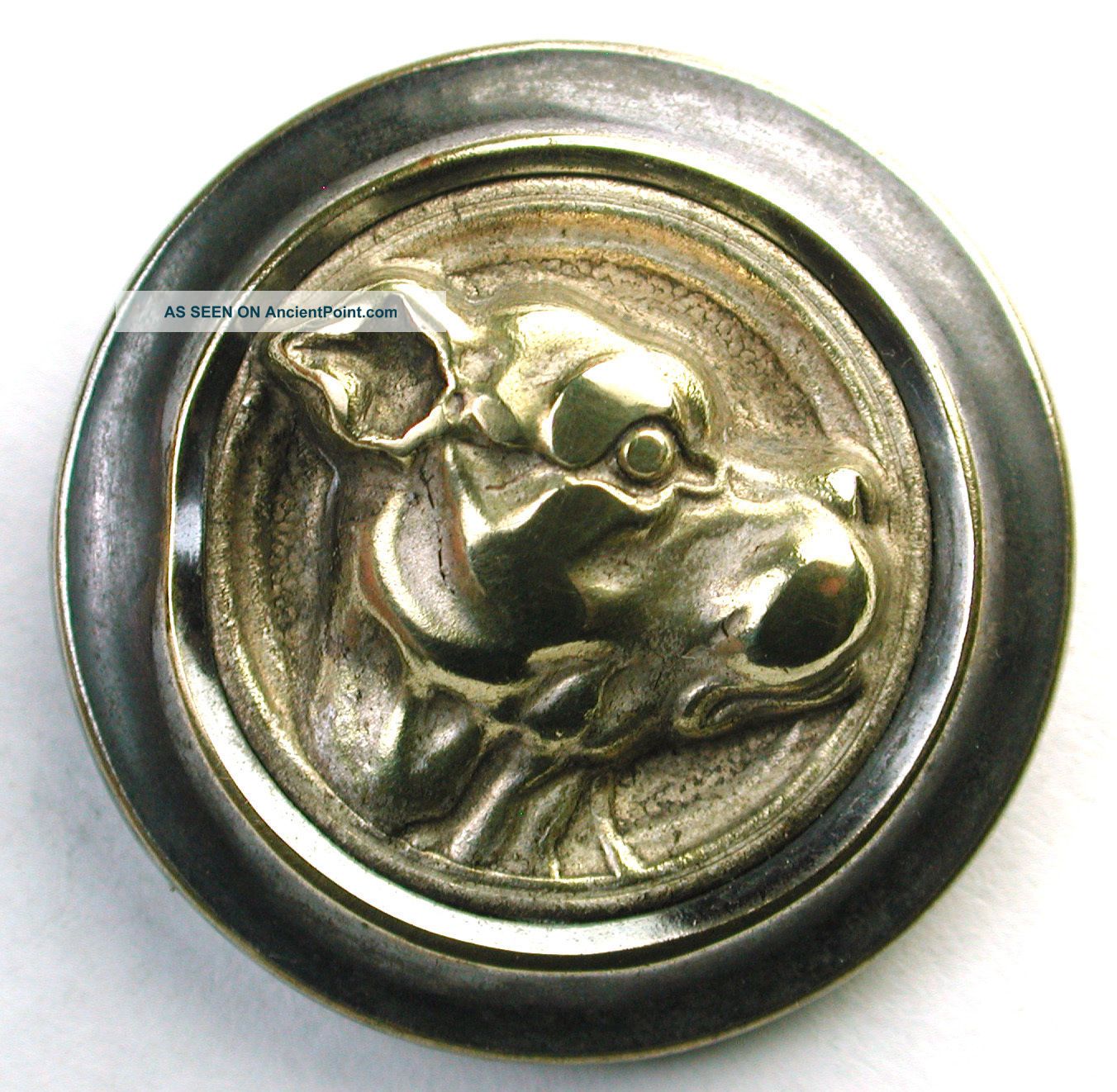 Antique Brass Button Dimensional Bull Dog Design Buttons photo