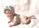 Antique German Porcelain Bisque Piano Baby Girl Figurine Figurines photo 1