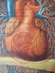 Lovely Vintage Pull Down Medical School Chart Of Human Circulatory System Other Antique Science, Medical photo 4