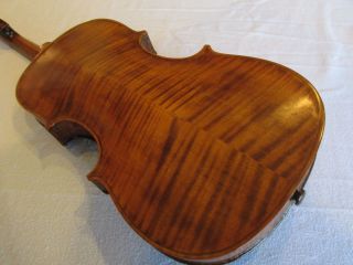 Fabulous Heavy Flamed Or Tiger Striped Hopf Violin Full Size 4/4 photo