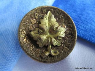 2988 – Medium “grape Leaf” Escutcheon On Concave Antique Brass Button photo