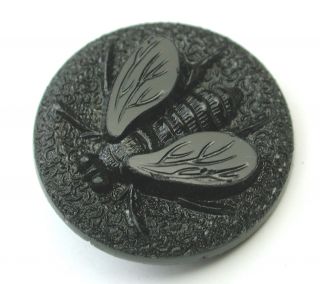 Antique Black Glass Button House Fly Design Nbs Med Size 15/16 Inch Back Marked photo